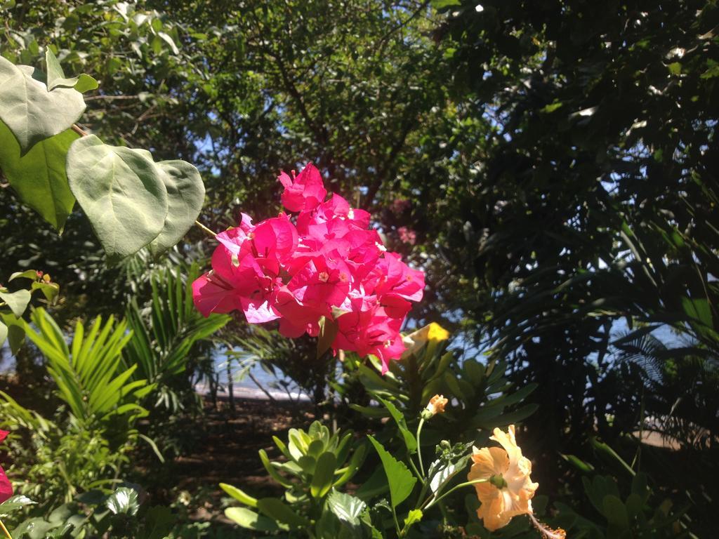 Hitokalak Sunset Cottages מראה חיצוני תמונה